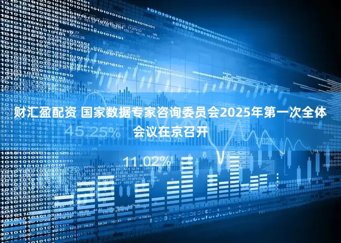财汇盈配资 国家数据专家咨询委员会2025年第一次全体会议在京召开